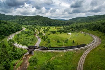 a train traveling through a lush green hillside