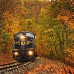 a train traveling down train tracks near a forest