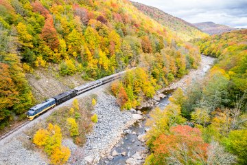 a train traveling down train tracks near a forest