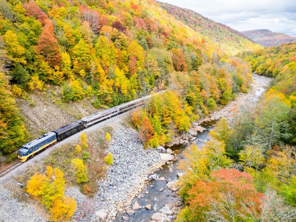 a train traveling down train tracks near a forest