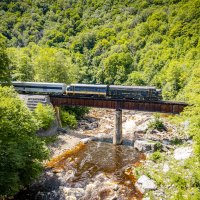 a train that is sitting on a bench next to a forest