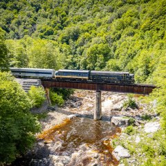 a train that is sitting on a bench next to a forest