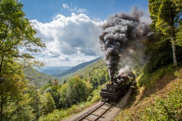 a train traveling down train tracks near a forest