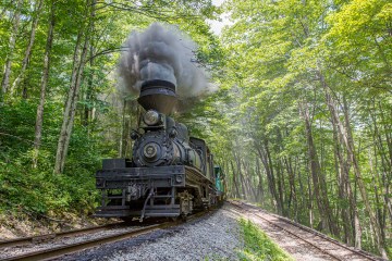 a train on the tracks near a forest