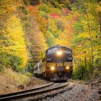 a train traveling down train tracks near a forest