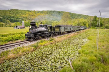 a train traveling through a lush green field