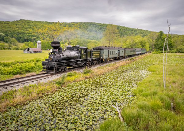 a train traveling through a lush green field