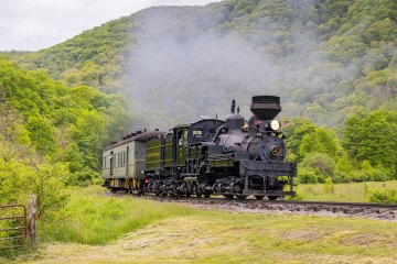a steam engine train traveling down train tracks near a forest