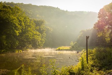 a pond of water