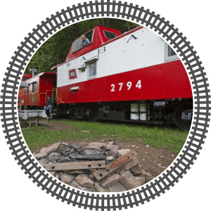 a train is parked on the grass