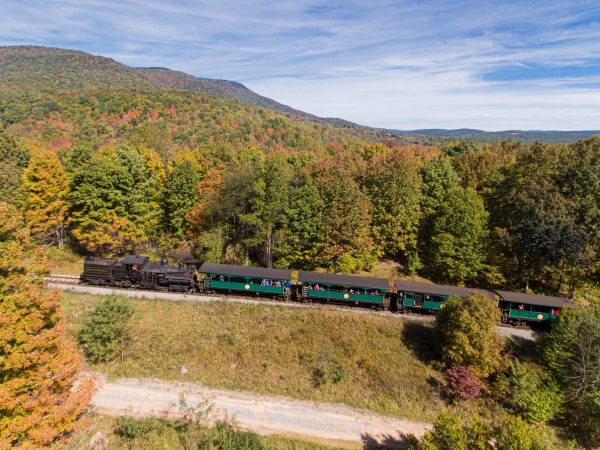 a train traveling through a lush green hillside