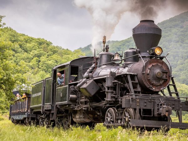 a steam engine train sitting on the grass
