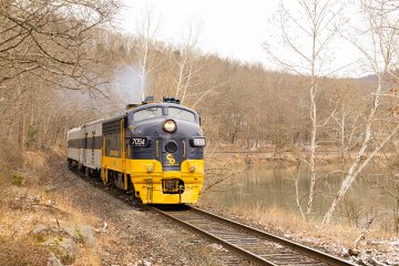 a train traveling down train tracks near a forest